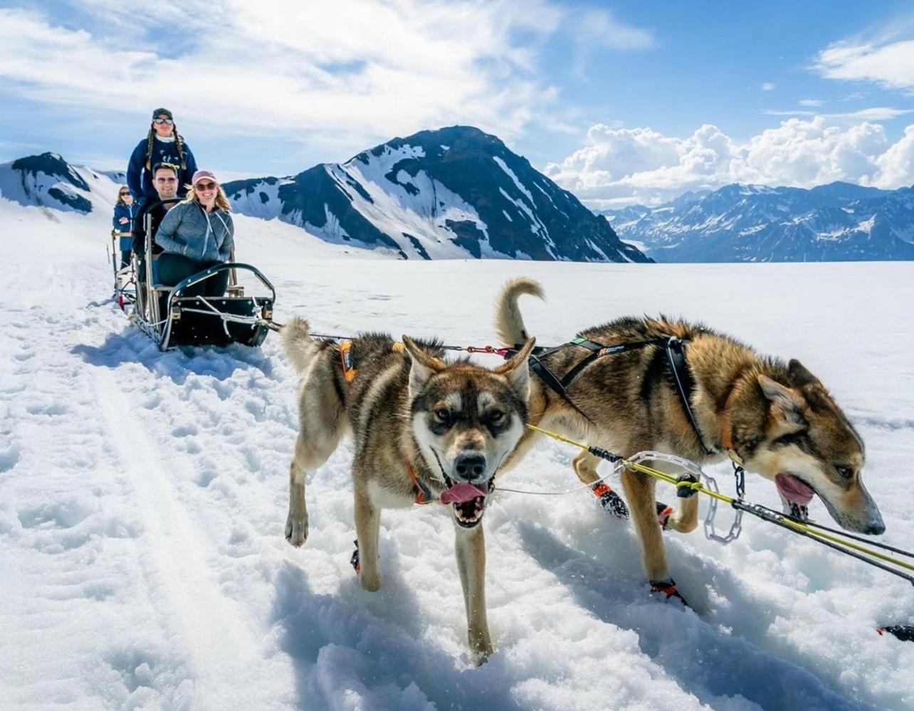 Alaska Glacier Lodge Palmer Zewnętrze zdjęcie